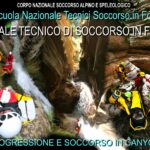 Manuale SNAFOR in vendita al raduno AIC