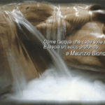 Manuale tecnico della SNaFor - E' arrivato!