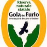 Incontro divulgazione canyoning Gola del Furlo